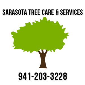 sarasota tree service